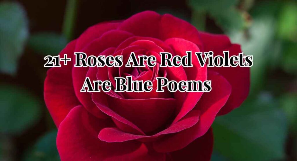 Roses Are Red Violets Are Blue Poems