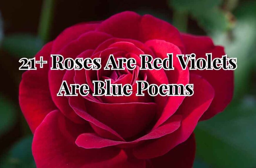 Roses Are Red Violets Are Blue Poems