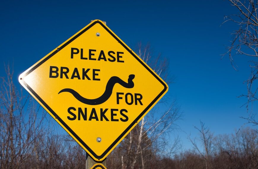 Recognizing Signs of Stupidity